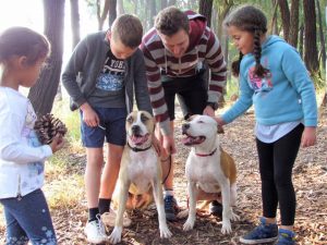 Love-A-Bull: Pitbull Rescue and Adoption South Africa