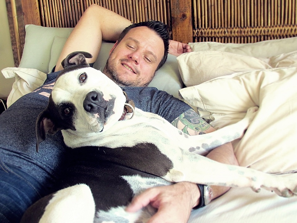 Love-A-Bull Pit Bull Rescue South Africa