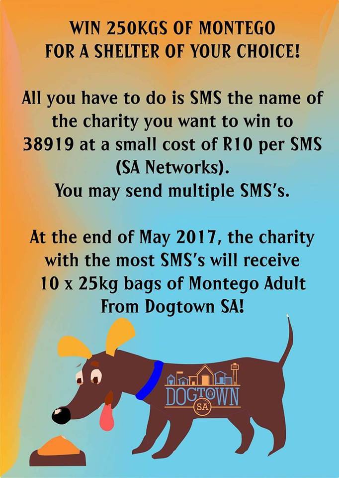 Love-A-Bull Pit Bull Rescue South Africa