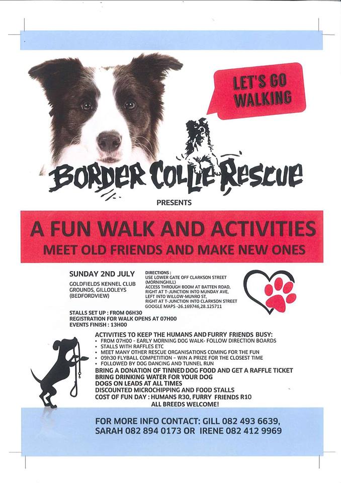 Love-A-Bull Pit Bull Rescue South Africa
