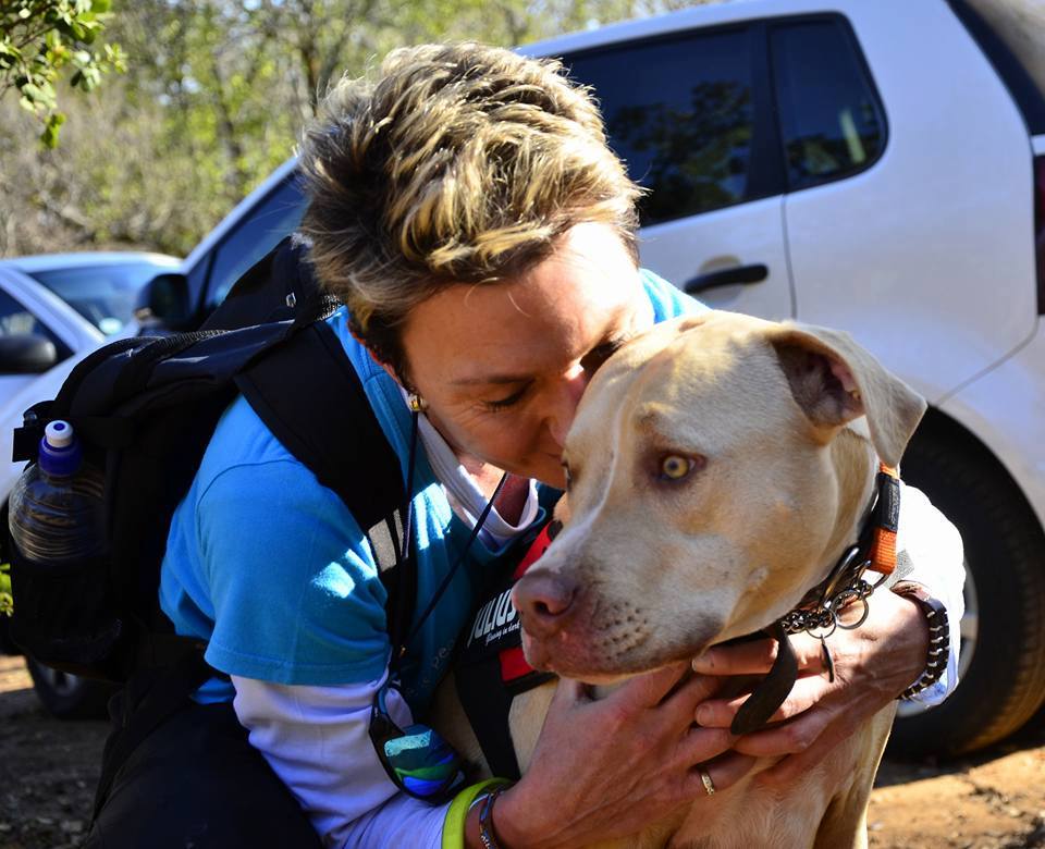 Love-A-Bull Pit Bull Rescue South Africa