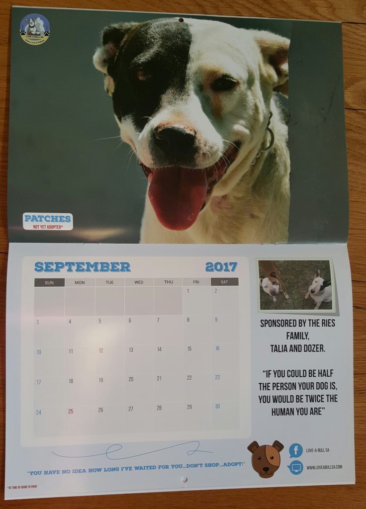 Love-A-Bull Pit Bull Rescue South Africa