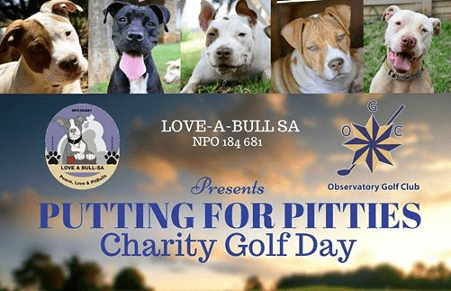 Love-A-Bull Pit Bull Rescue South Africa