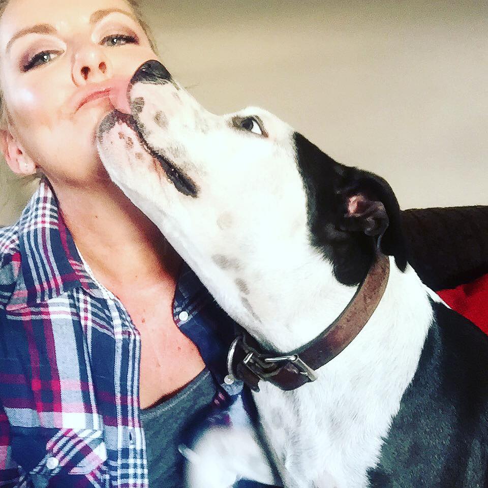 Love-A-Bull Pit Bull Rescue South Africa