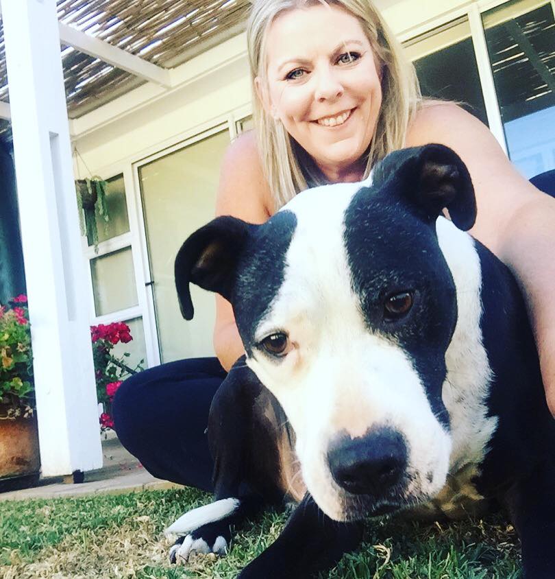Love-A-Bull Pit Bull Rescue South Africa