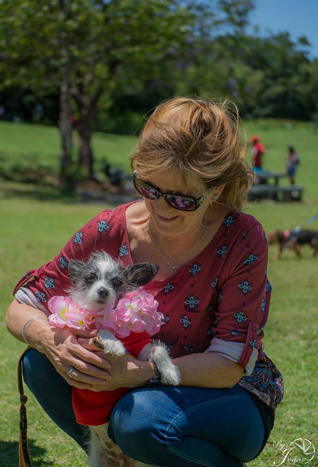 Love-A-Bull Pit Bull Rescue South Africa