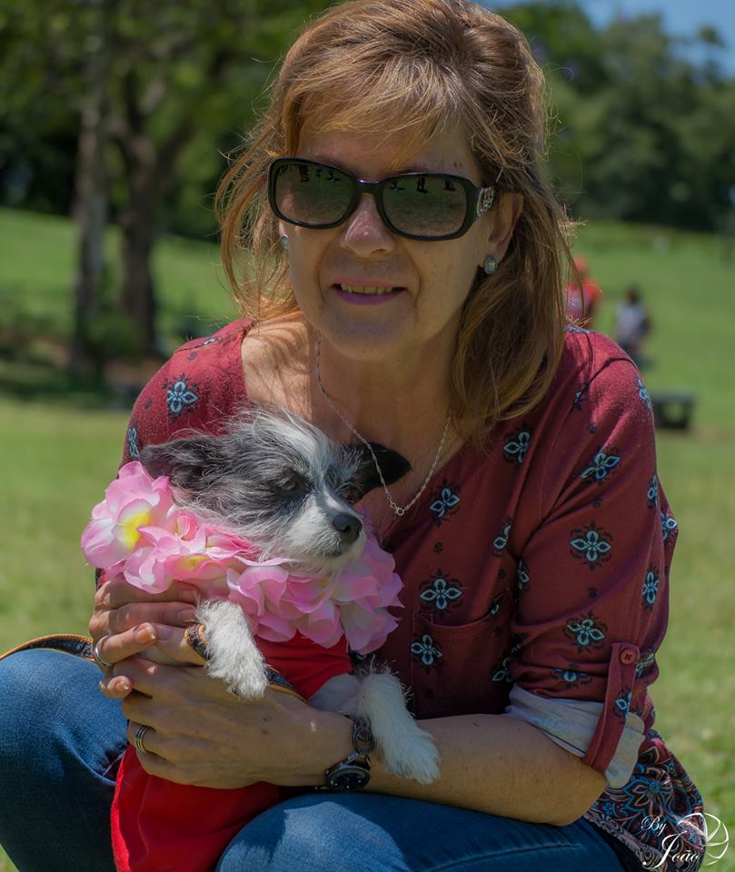 Love-A-Bull Pit Bull Rescue South Africa