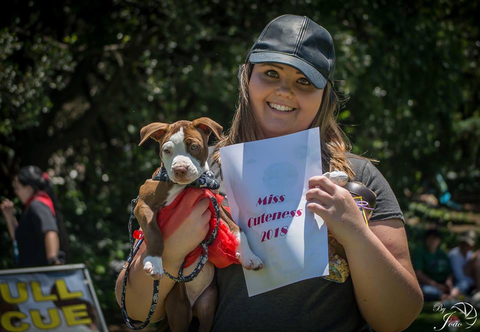 Love-A-Bull Pit Bull Rescue South Africa