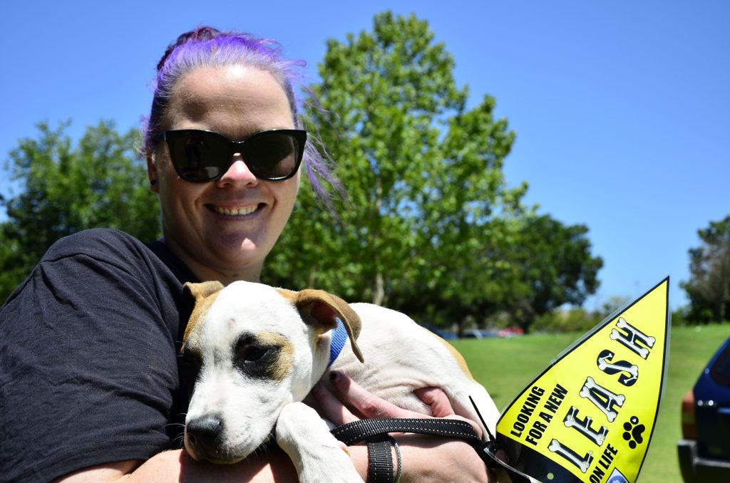 Love-A-Bull Pit Bull Rescue South Africa