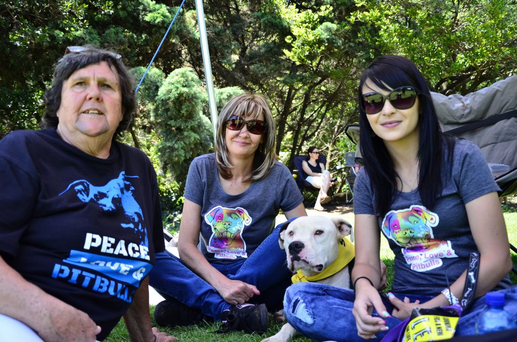 Love-A-Bull Pit Bull Rescue South Africa