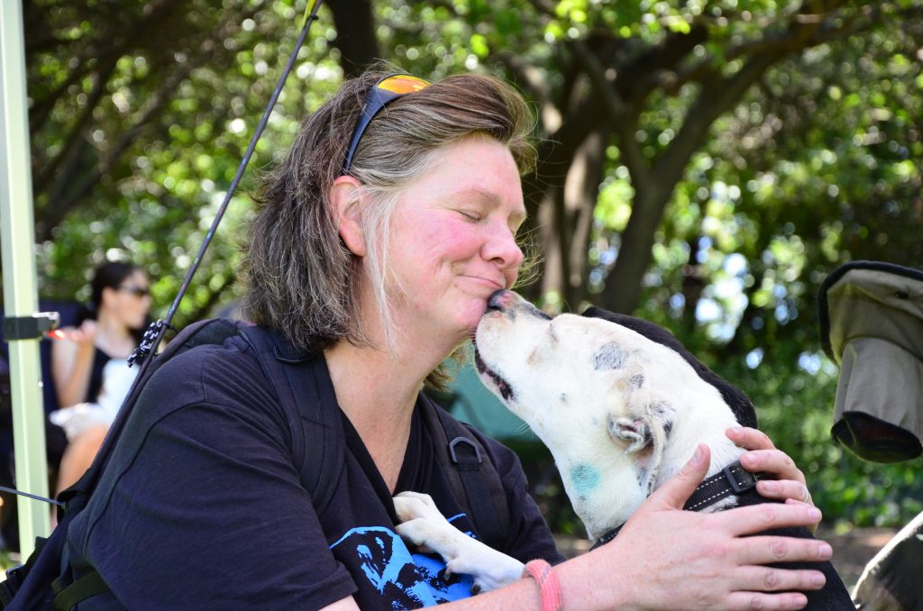 Love-A-Bull Pit Bull Rescue South Africa