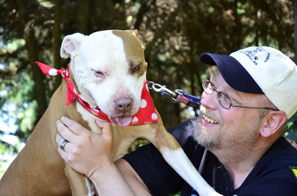 Love-A-Bull Pit Bull Rescue South Africa