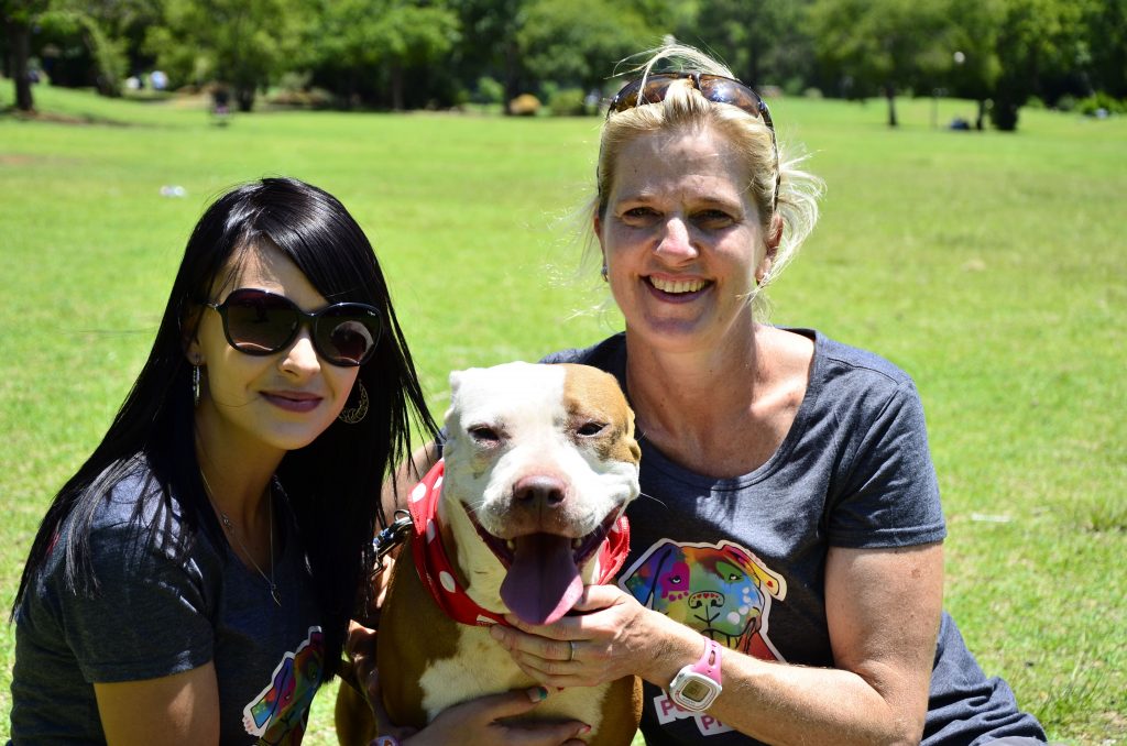 Love-A-Bull Pit Bull Rescue South Africa