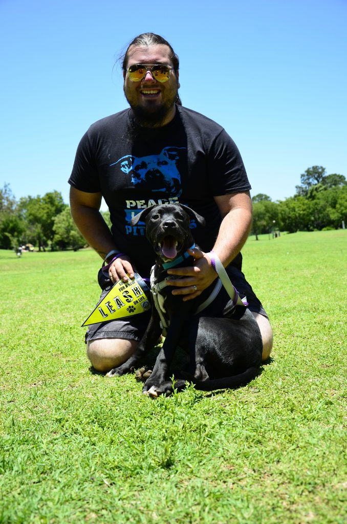 Love-A-Bull Pit Bull Rescue South Africa