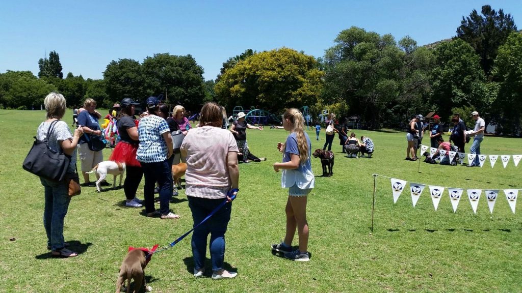 Love-A-Bull Pit Bull Rescue South Africa